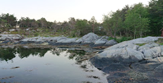 Alværa ligg nær Sognefjorden ved Lavik